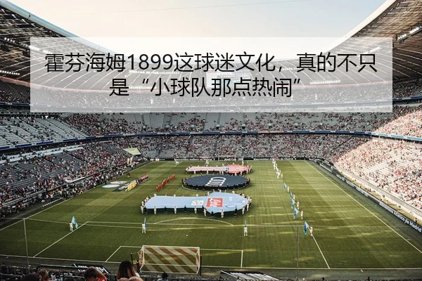 霍芬海姆1899这球迷文化，真的不只是“小球队那点热闹”（leyu）
