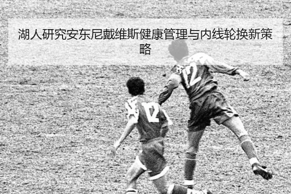 湖人研究安东尼戴维斯健康管理与内线轮换新策略 | leyu