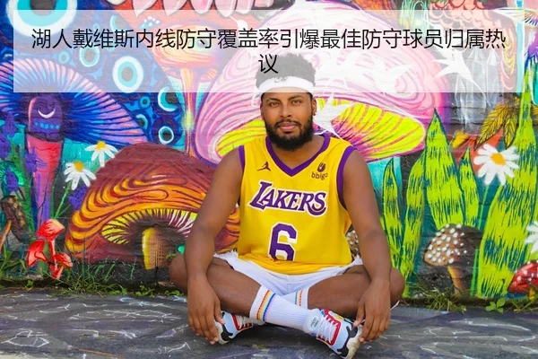 湖人戴维斯内线防守覆盖率引爆最佳防守球员归属热议 | leyu