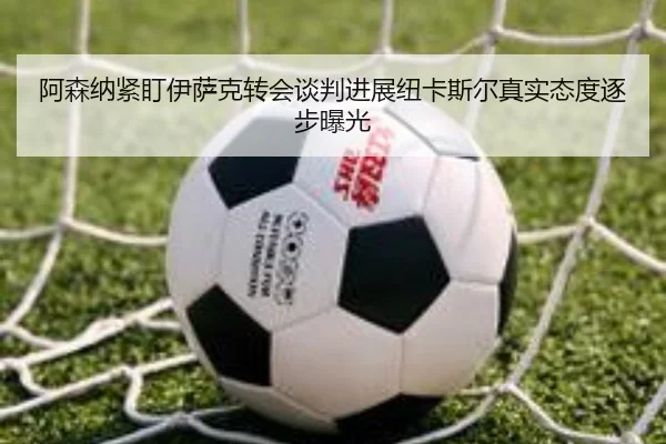 阿森纳紧盯伊萨克转会谈判进展纽卡斯尔真实态度逐步曝光 | leyu
