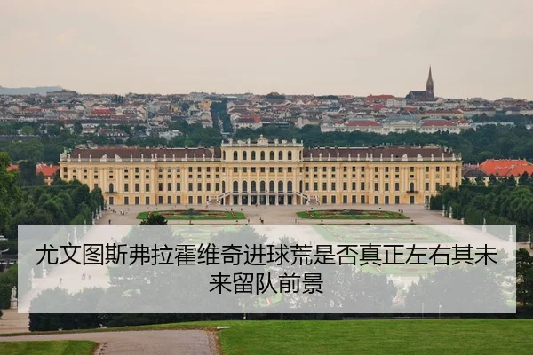 尤文图斯弗拉霍维奇进球荒是否真正左右其未来留队前景（leyu）