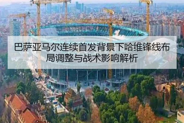 ba-sa-ya-ma-er-lian-xu-shou-fa-bei-jing-xia-ha-wei-feng-xian-bu-ju-tiao-zheng-yu-zhan-shu-ying-xiang-jie-xi-1-489.jpg