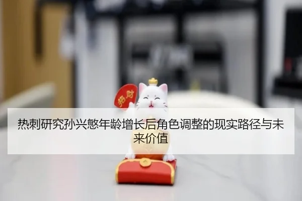 热刺研究孙兴慜年龄增长后角色调整的现实路径与未来价值 | leyu